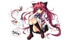 Anime animal ears mashiroiro symphony Inui Sana
