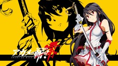 Anime anime girls Akame ga Kill!