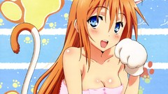 Anime anime girls mayo chiki Konoe Subaru