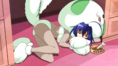 Anime anime girls Medaka Box