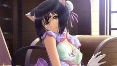 Anime anime girls nekomimi tony taka animal ears shining hearts 