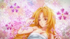 Anime anime girls Oda Nobuna