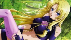 Anime anime girls The Legend Of The Legendary Heroes