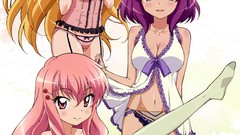 Anime anime girls zero no tsukaima henrietta de tristain Louise 