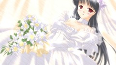 Anime August anime girls brides Princess Holiday