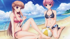 Anime Beaches walkure romanze kisaki mio bikini swimsuits Noel 