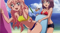 Anime Beaches zero no tsukaima henrietta de tristain Louise 