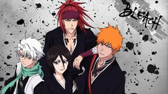 Anime bleach kurosaki ichigo kuchiki rukia Hitsugaya Toshiro 