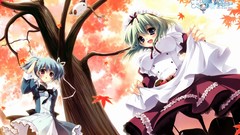 Anime blush anime girls mashiroiro symphony angelina nanatsu 