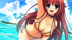 Anime blush long hair anime girls blue eyes tomose shunsaku 