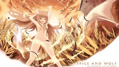 Anime brown red eyes long hair spice and wolf animal ears nuns 