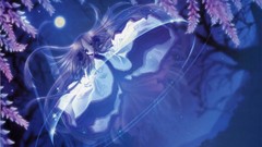 Anime carnelian yami to boushi to hon no tabibito Japanese 