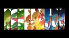 Anime Evolution Pokemon Mudkip Grovyle Torchic Blaziken 