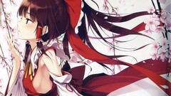 anime girls Anime touhou detached sleeves hakurei reimu miko