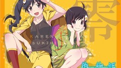 Anime girls bakemonogatari araragi karen nisemonogatari 
