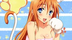 Anime girls blue eyes mayo chiki nekomimi cat ears Konoe Subaru