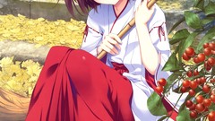 Anime girls blue eyes miko original characters scans Fumio