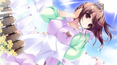 Anime girls brown eyes brunettes game cg boobs aprons visual 