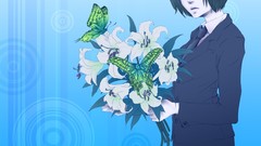 Anime girls Butterflies brunettes