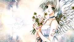 Anime girls clamp Clover