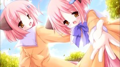 Anime girls lolitas nekomimi