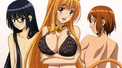Anime girls nekomimi animal ears bikini boobs Asobi ni Iku yo! 