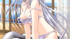 Anime girls nekomimi original characters Yamamoto Kazue (artist)