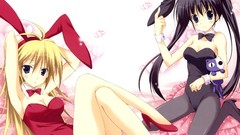 Anime girls pantyhose animal ears cleavage leotard bunny ears 