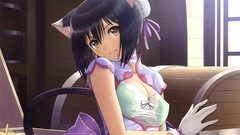 Anime girls short hair nekomimi tony taka animal ears tails 