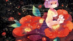 Anime girls touhou hieda no akyuu video games Japanese clothes