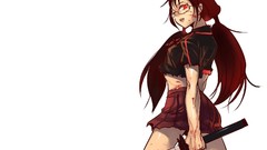 Anime glasses Blood: The Last Vampire meganekko