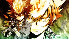 Anime gloves katekyo hitman reborn Tsuna Sawada Tsunayoshi 