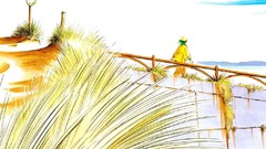 Anime green hair yokohama kaidashi kikou hatsuseno alpha 