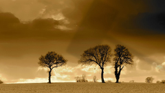 Anime hammer Manga Africa