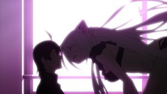 Anime hanekawa tsubasa Nekomonogatari