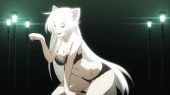 Anime hanekawa tsubasa Nekomonogatari