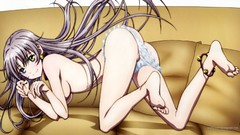 Anime heterochromia neko k project Neko (K-Project)