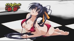 Anime highschool dxd Himejima Akeno