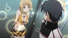 Anime infinite stratos bare shoulders swimsuits Dunois 