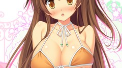 Anime long hair anime girls brown eyes brunettes cleavage 