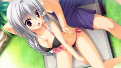 Anime long hair anime girls gray hair kobuichi game cg cleavage 