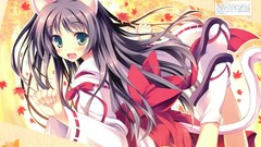 Anime long hair nekomimi animal ears miko tateha kaitou tenshi 
