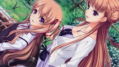 Anime long hair walkure romanze Noel Maresse Ascot