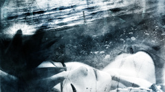 Anime Manga shiningdays