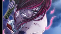 Anime Manga versus fairy tail Scarlet Erza Erza Knightwalker