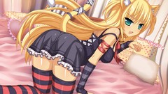 Anime master long hair anime girls animal ears game cg Chris 