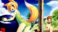 Anime nekomimi animal ears bikini fox girls Poco