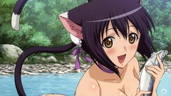 Anime nekomimi tony taka animal ears shining hearts Shining 