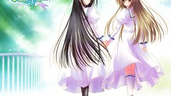 Anime otome wa boku ni koishiteru