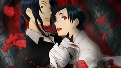 Anime otonashi saya Blood Plus Hagi